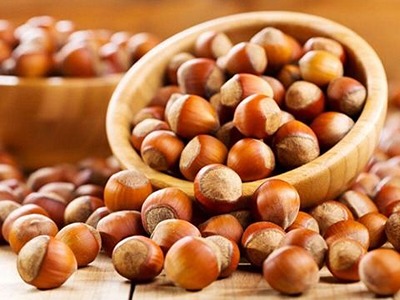 خرید و فروش فندق طلایی قزوین با شرایط فوق العاده